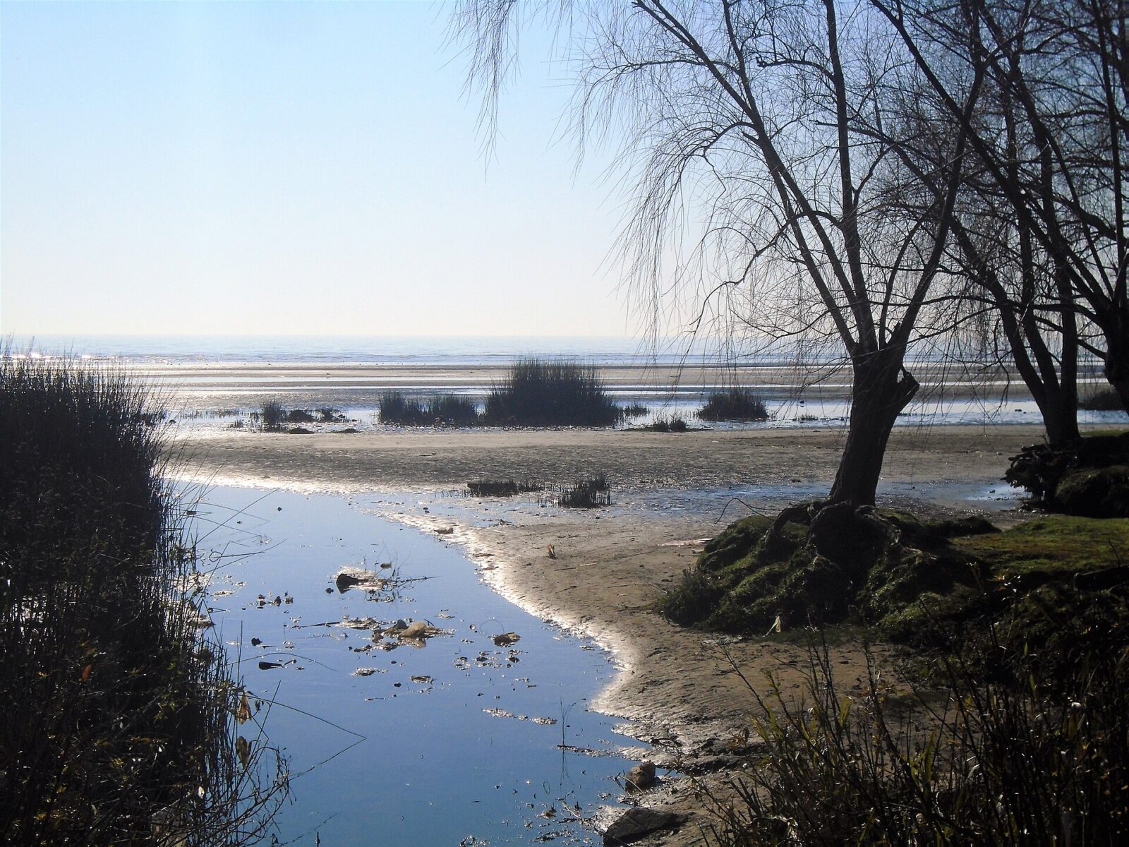 La costa de Berazategui sobre el Río de la Plata
