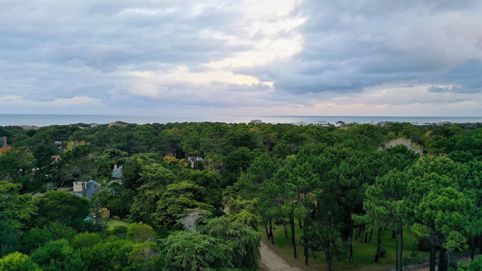Cariló, entre el bosque y el mar