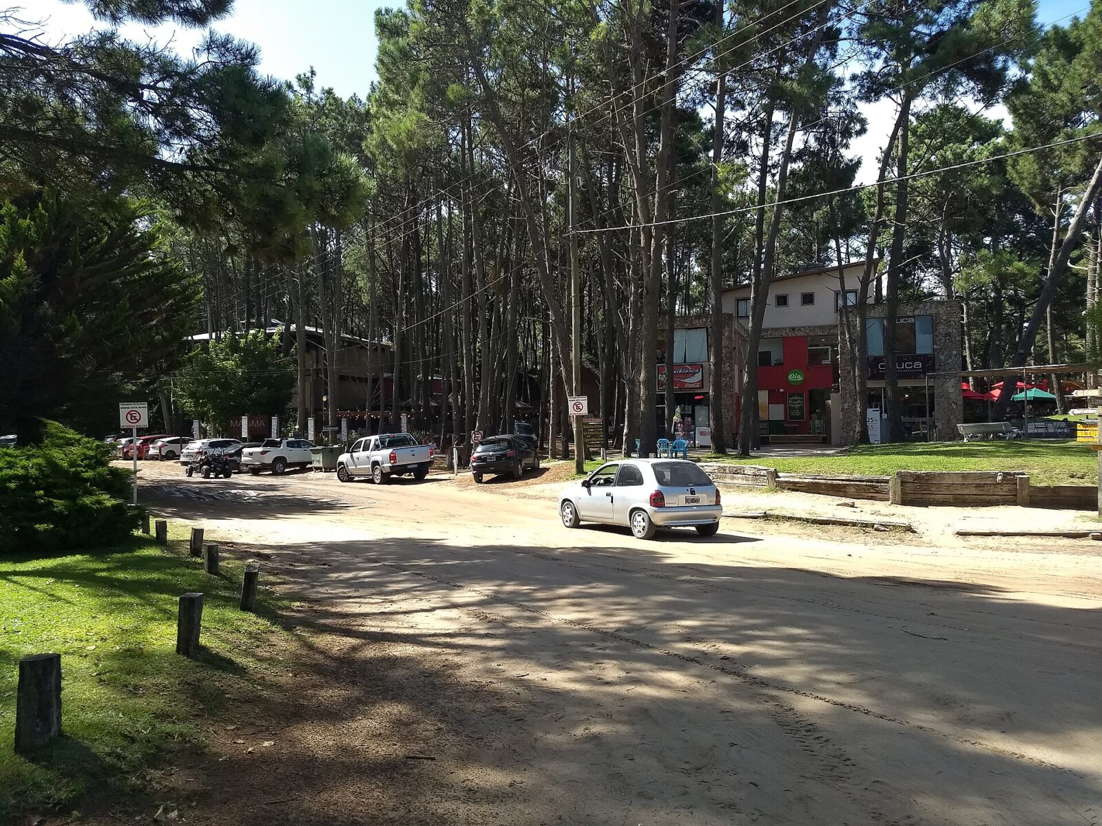 Una calle entre el bosque de Mar de las Pampas