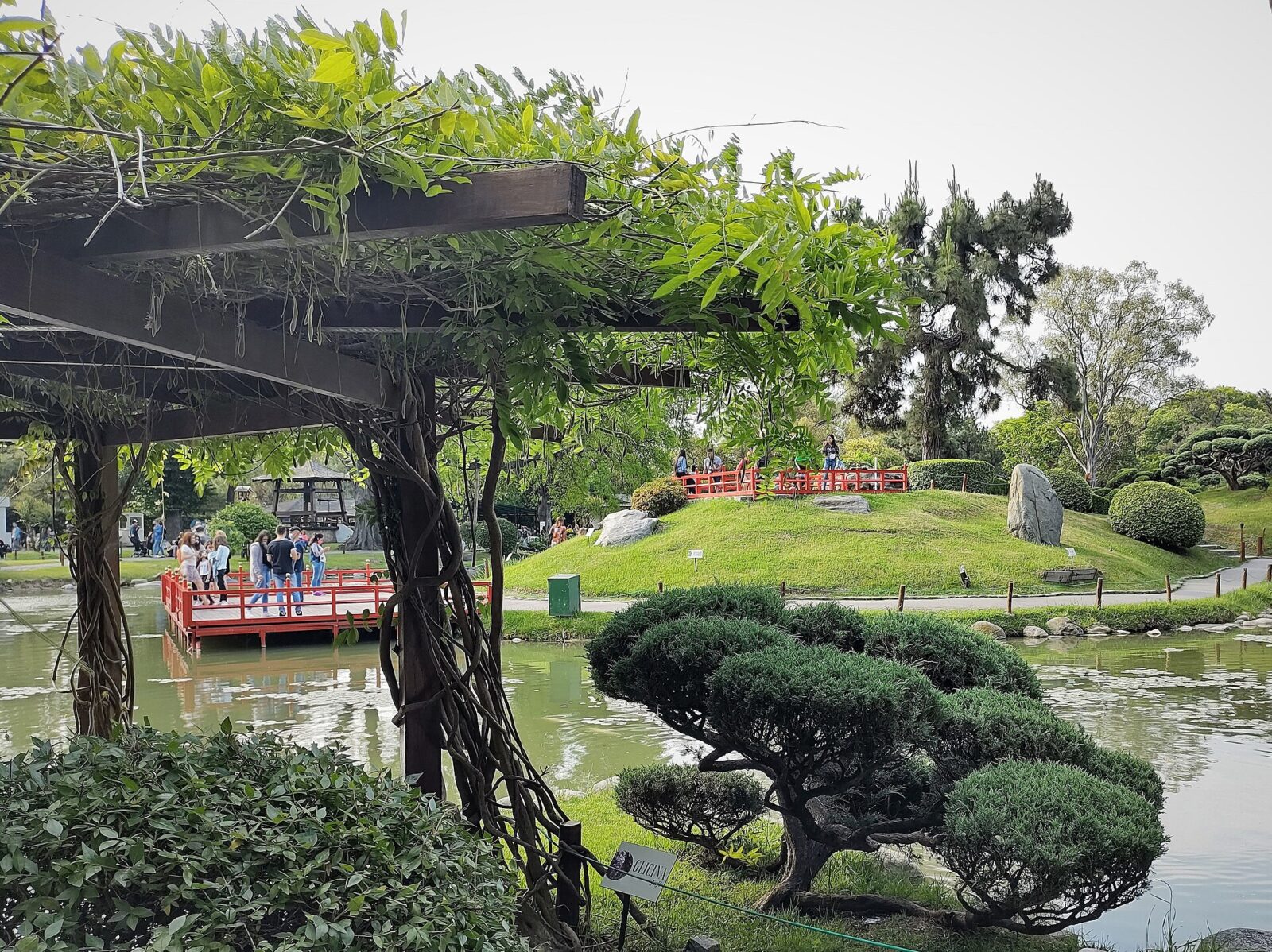 El Jardín Japonés de Palermo, con su lago y el puente