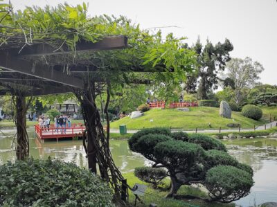 El Jardín Japonés de Palermo, con su lago y el puente