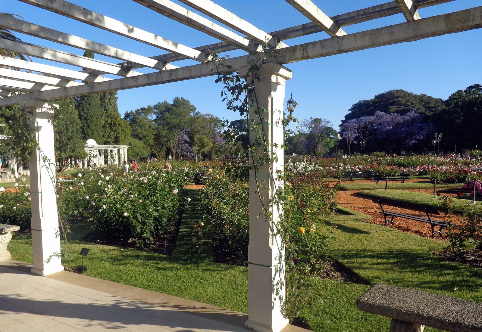 El Rosedal de Palermo, en el Parque Tres de Febrero