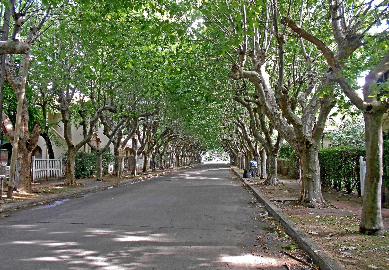 Una calle del barrio Villa Argentina, en Quilmes